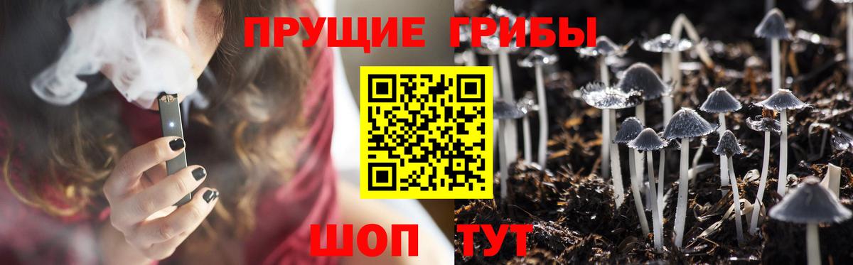 Псилоцибиновые грибы GOLDEN TEACHER  Вход с VPN  Вольск 